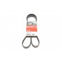 Ремінь генератора Peugeot 206/Partner/Citroen Berlingo/VW Polo 1.1-1.6 02-