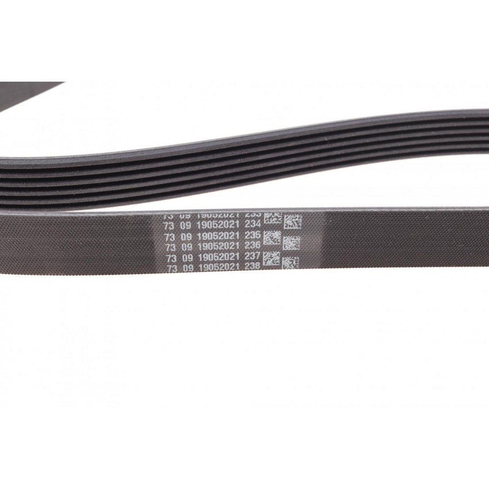 Ремінь генератора Peugeot 206/Partner/Citroen Berlingo 1.1-1.6 02-/VW Fox/Polo 1.2 02-14