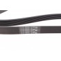 Ремінь генератора Peugeot 206/Partner/Citroen Berlingo 1.1-1.6 02-/VW Fox/Polo 1.2 02-14