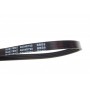 Ремінь генератора Smart 0.6-0.7i/ Honda Civic 1.4-1.8 94-01/ Chevrolet Matiz/ Spark 0.8-1.2 05-