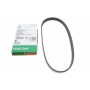 Ремінь генератора Ford C-Max/ Focus II-III/Volvo C30/S40 II/V50 1.8-2.0 03-