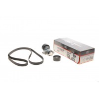 Комплект ременя генератора Renault Megane/Scenic 1.4/1.6 00-09 (5PK1750)
