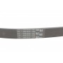 Ремінь генератора VW T5/Golf 2.3-3.2 V6 03-09/Audi A4/A6/Q5 2.0TDI 08-17