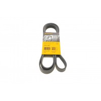 Ремінь генератора Ford Focus 1.4/1.6 16V 98-04