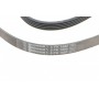 Ремінь генератора Opel Astra G/H 2.0 05-10/Insignia 1.5 17-