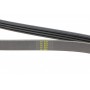 Ремінь генератора Renault Clio/Kangoo 1.4i/1.6 98-03/ Toyota Land Cruiser 4.2 98-07