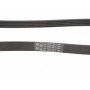Ремінь генератора MB A-Class (W169)/B-class (W245) 2.0 CDI (OM640) 04-12