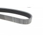 Ремінь генератора Renault Megane I/Ford Transit 2.0 94-00 (6PK1650)