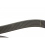 Ремінь генератора Daf CF/XF 12.9 05-