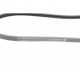 Ремінь генератора Citroen Jumper/Peugeot Boxer 2.5D 96-02 (3PK865)