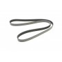Ремінь генератора Peugeot 206/ Citroen C5/ Xantia/ Xsara/Berlingo 1.4-2.0 96-/ Skoda Fabia 1.2 01-14