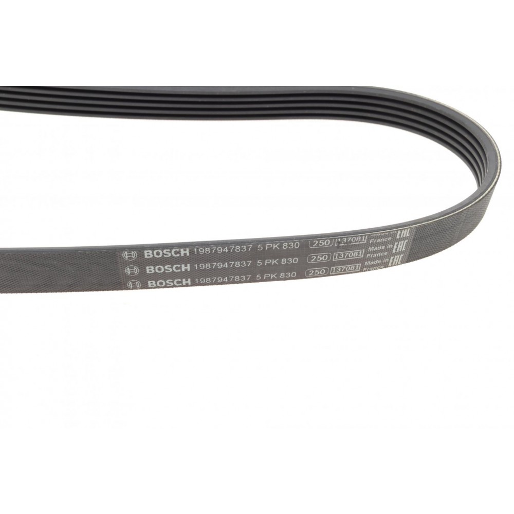 Ремінь генератора Opel Omega B 2.5DTI 01-03 (5PK830)