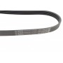 Ремінь генератора Opel Omega B 2.5DTI 01-03 (5PK830)