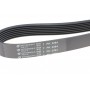Ремінь генератора Honda Accord 2.2 i-CDTi 04-08 (7PK2264)