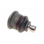 Опора кульова (передня/знизу) Nissan Micra III/Note 1.0-1.6 03-