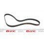 Ремінь генератора Fiat Doblo 1.3D Multijet/1.3JTD/Ford Focus 1.8/2.0 04- (6PK1310)