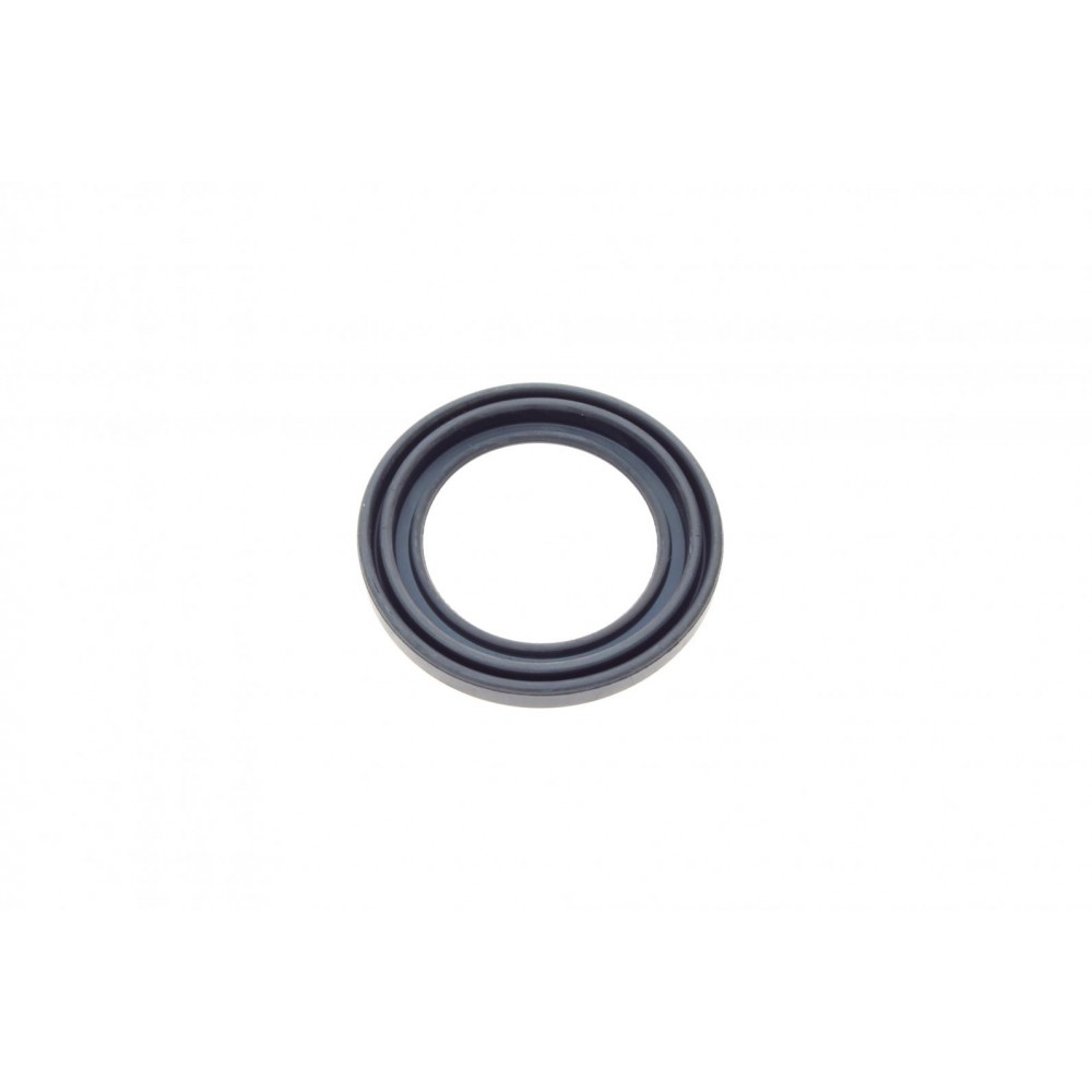 Ремкомплект супорта (переднього) VW T4 90-03 (d=54mm) (+поршень (Lucas)
