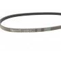 Ремінь генератора Honda Civic VI/Nissan Primera/Citroen Berlingo 1.4-1.6 16V 94-05 (4PK800)