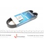 Ремінь генератора Citroen Jumper/Fiat Ducato 2.8HDi/JTD 00- (ALT,WP)