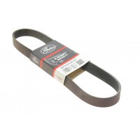 Ремінь генератора BMW 3 (F30)/5 (F10) 11-16 (N55B30A) (8PK942)