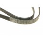 Ремінь генератора VW Passat B5/Audi A4/A6 1.9TDI 98-05/Skoda Superb 1.9/2.0TDI 01-08 (5PK1432)