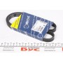 Ремінь генератора BMW X5 (E53) 3.0D 03-/Opel Astra G 1.7TD -00 (4PK884)
