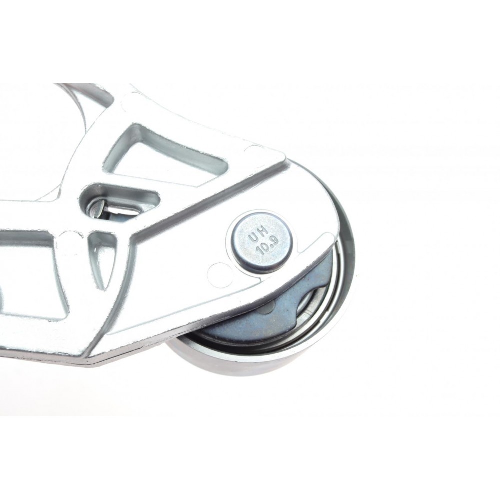 Комплект ГРМ Citroen C5/C6/C8/Peugeot 406/407/607/807 96- (32x259z)