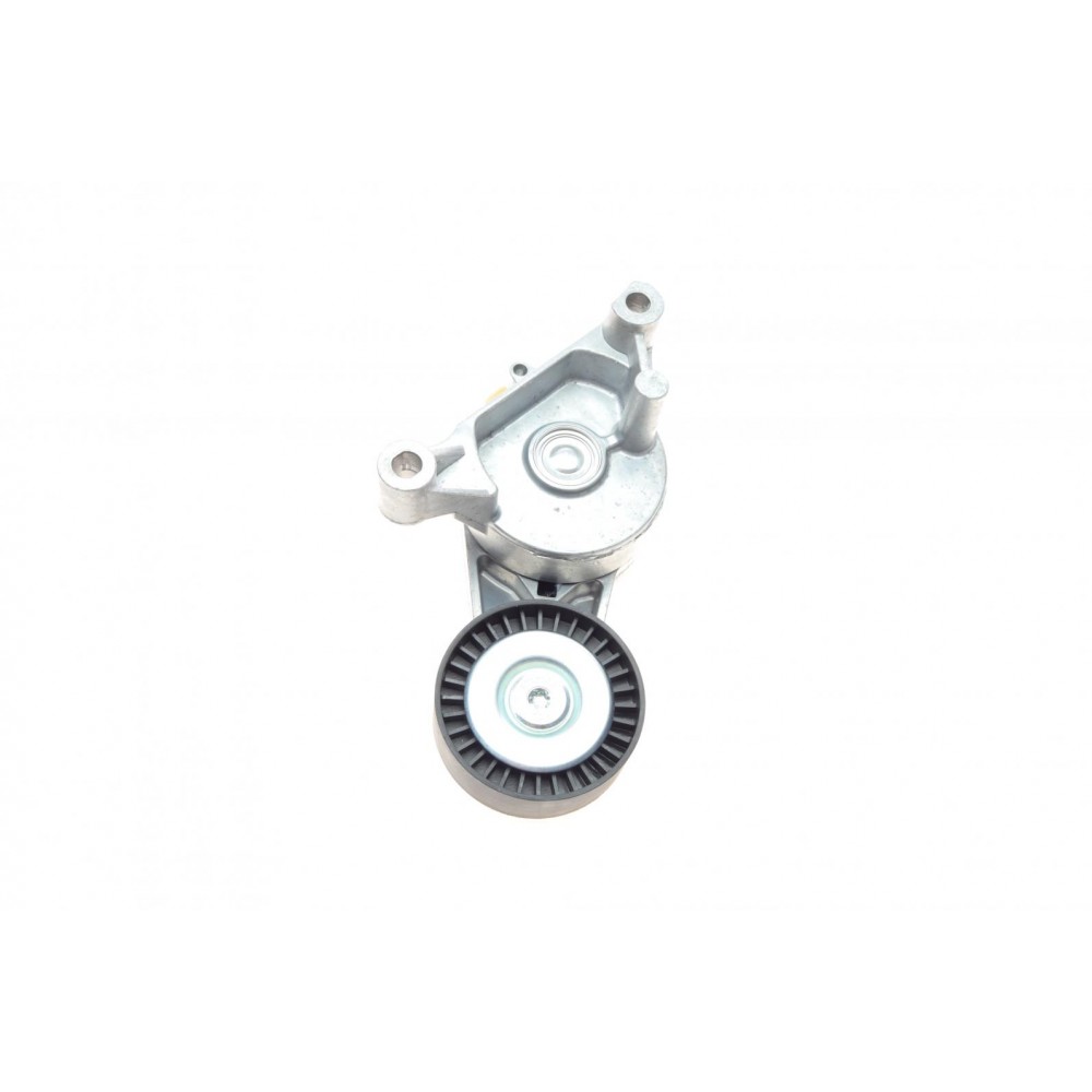 Натяжник ременя генератора VW Caddy 1.9TDI/2.0SDI 04-10 (70x25)