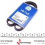 Ремінь генератора Honda Civic 1.4/1.6 16V/Nissan Primera 2.0 16V 90-01 (4PK845)
