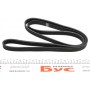 Ремінь генератора Renault Kangoo 1.4/1.6i, 97- (5PK1750)