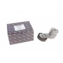 Натяжник ременя генератора Opel Astra G/H/Combo/Corsa C/Meriva 1.4-1.8 98-09