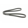 Ремінь генератора Peugeot 206/406/806/Expert/Fiat Scudo/Citroen C5/C8/Jumpy 1.9D/2.0HDI 95-