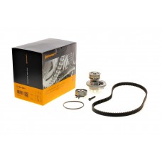 Комплект ГРМ + помпа Opel Astra G 1.6 98-05/Combo 1.6 01-/Meriva 1.6 03-10 (17x111z)