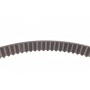 Комплект ГРМ + помпа Citroen C5/C6/C8/Fiat/Ford/Peugeot 2.2HDI 06- (25.4x118z)