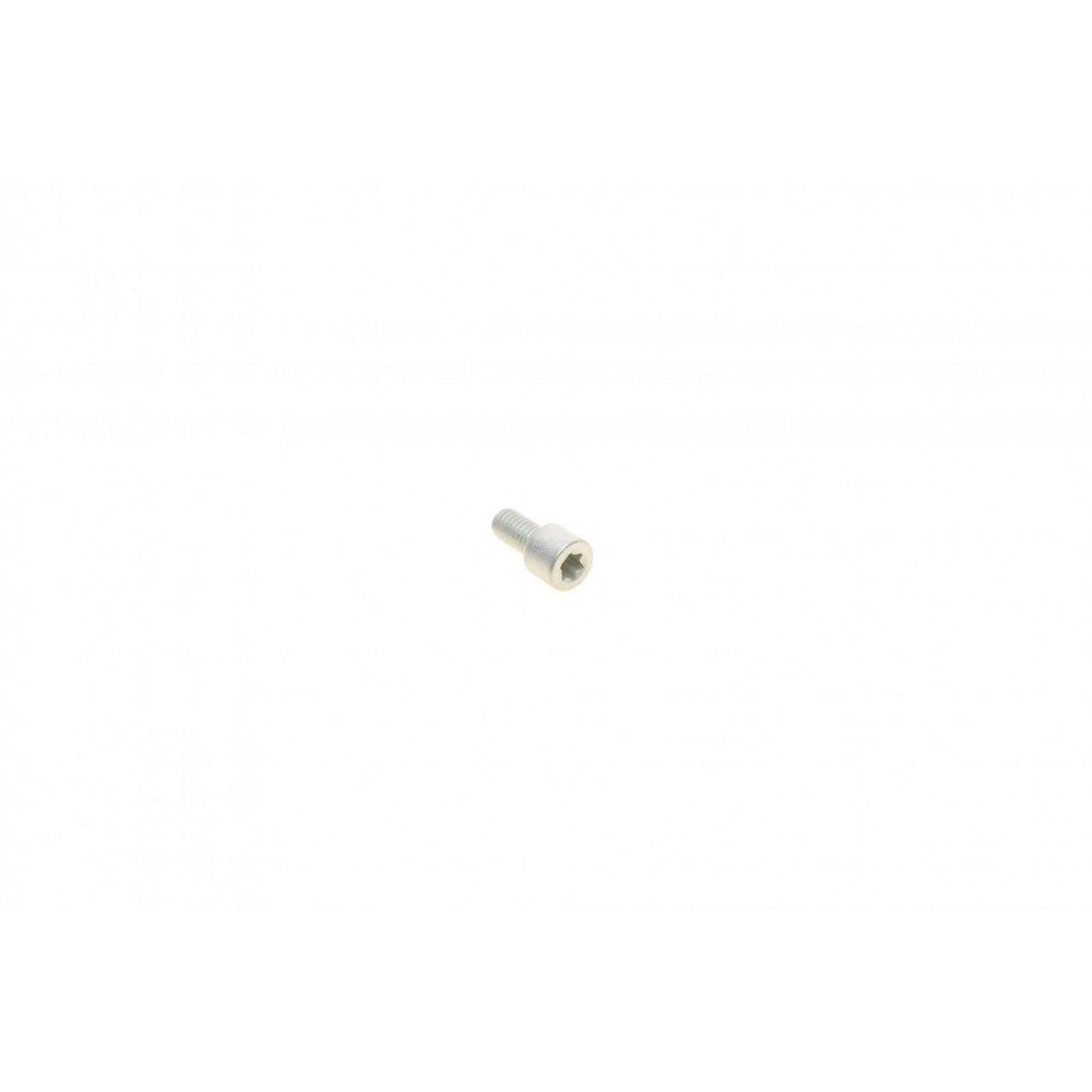 Електродвигун супорта гальмівного (заднього) Volvo S60 15- (d=38mm)(TRW)