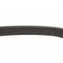 Ремінь генератора BMW 5 (E39)/7 (E38) 3.5i/4.4i 93-04/X5(E53) 4.4 i 00-03