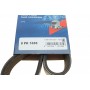 Ремінь генератора Man TGA/TGS/TGX/MB LK/LN2 OM366 84- (8PK1655)