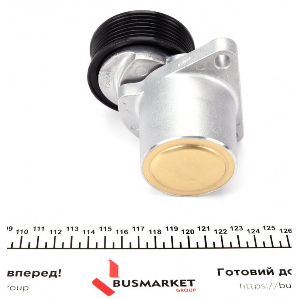 Натяжник ременя генератора Ford Mondeo 00-15