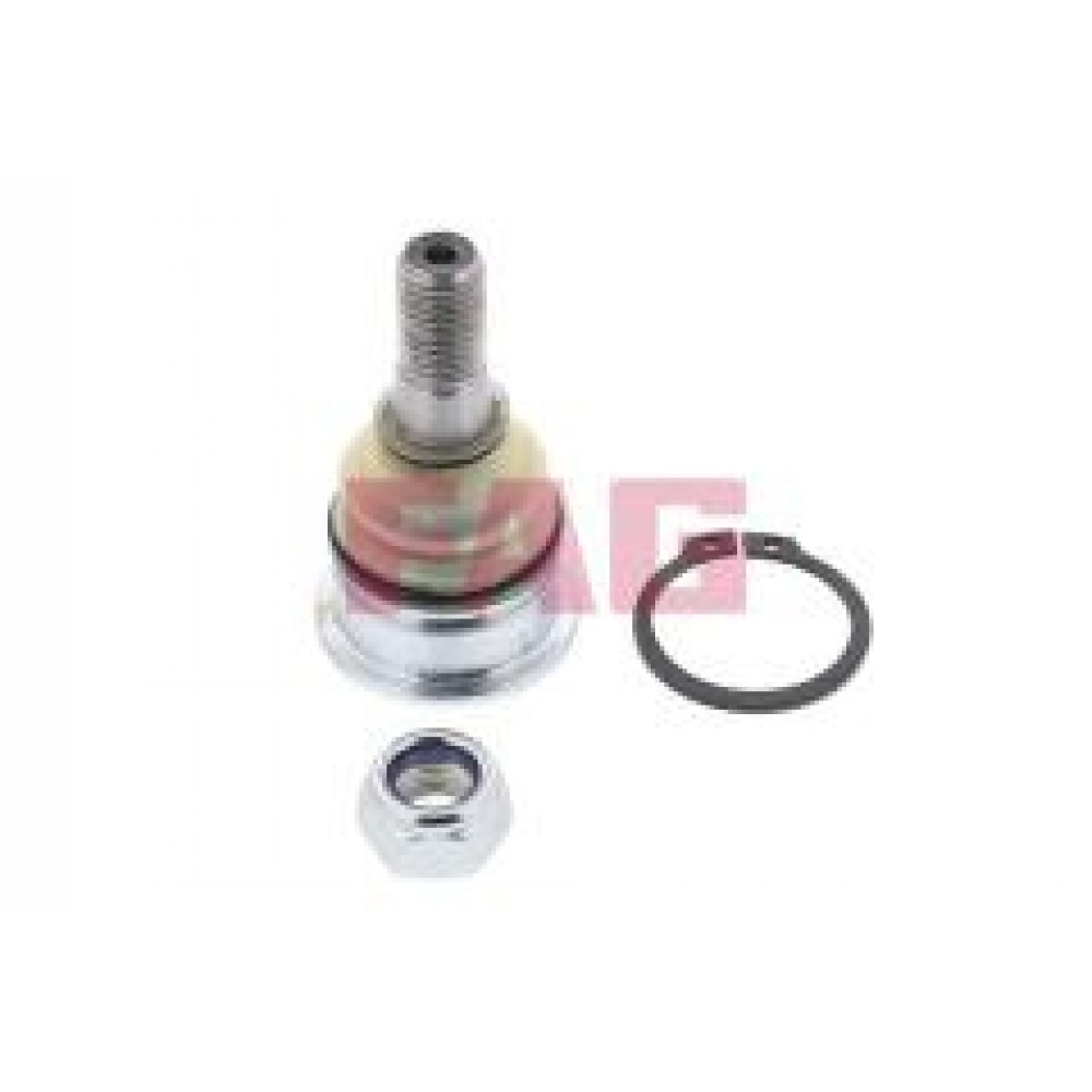 Опора кульова (передня/знизу) Nissan Primera/Sunny 86-02/Almera II 00-