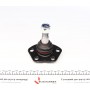 Опора кульова (передня/знизу) Fiat Ducato/Peugeot Boxer (1.8t) 02-06