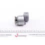 Натяжник ременя генератора Renault Scenic/Megane II/III 1.9dCi/2.0 16V 03-