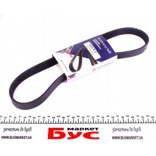 Ремінь генератора Citroen Berlingo/Peugeot Partner 1.6HDI (6PK805)