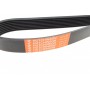 Ремінь генератора BMW 3 (F30/F80)/5 (F10)/ X5 (F15/F85)/ X6 (F16/F86) 13- (8PK1392) (N55)