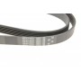 Ремінь генератора Peugeot 206/Partner/Citroen Berlingo/VW Polo 1.1-1.6 02-