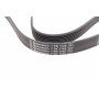 Ремінь генератора Renault Master/Nissan NT400 2.3 dCi 14-/Honda Accord/CR-V 2.4 03-