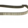 Ремінь генератора MB Sprinter OM611 (-AC) (6PK2203)
