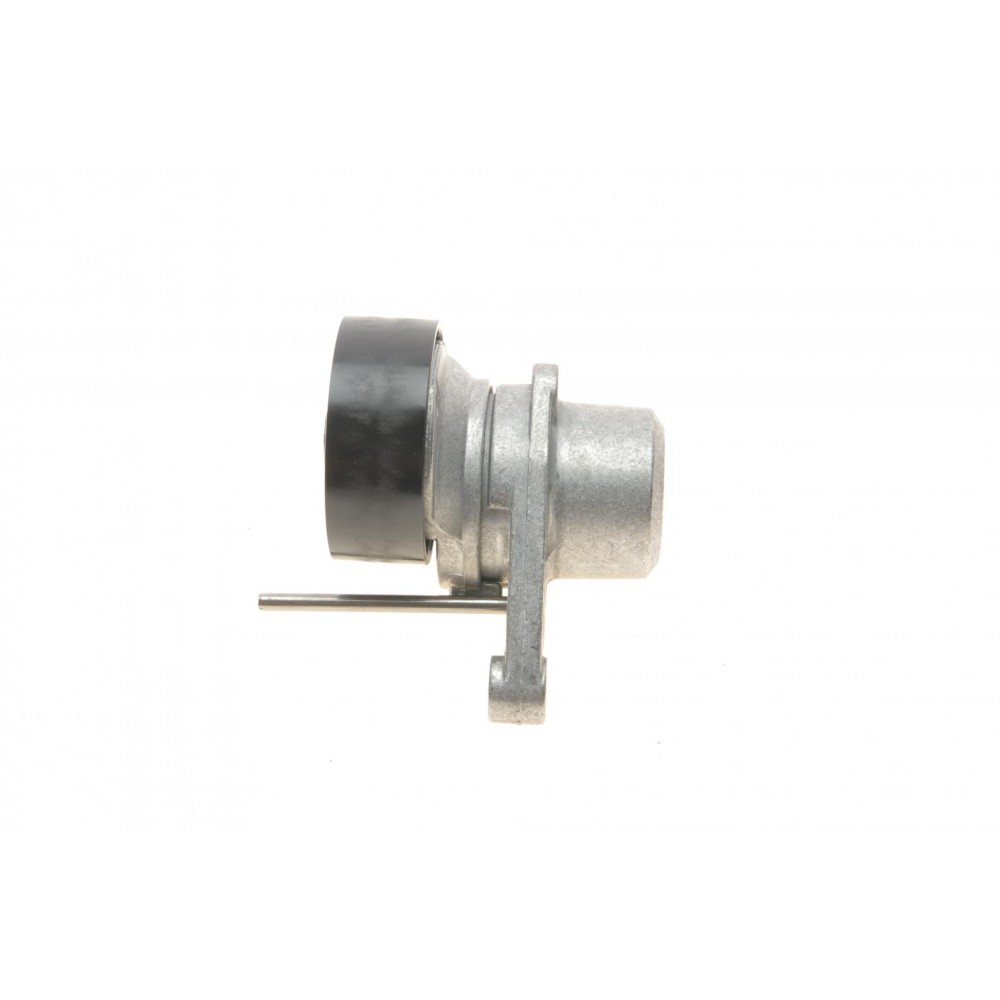 Натяжник ременя генератора Citroen C2/C3/C4/Peugeot 207/307 1.1-1.6 00-