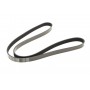 Ремінь генератора Citroen Berlingo 1.6 00-08/ Nemo 1.4i 08- (6PK1560)
