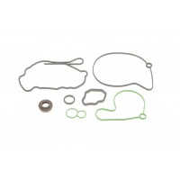 Ремкомплект насосу вакуумного Audi A2/A3/A4/A6/VW Golf/Ford Galaxy 1.2-1.9 TDI 00-10