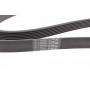 Ремінь генератора Land Rover Range Rover/Toyota Land Cruiser 120 4.0i/4.6 94-10